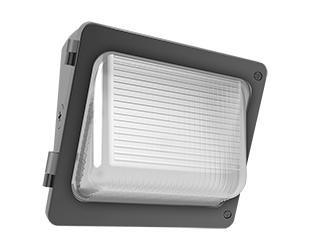 RAB Lighting W34-30L / 30W / Wall Pack W34 / LED / 5000K